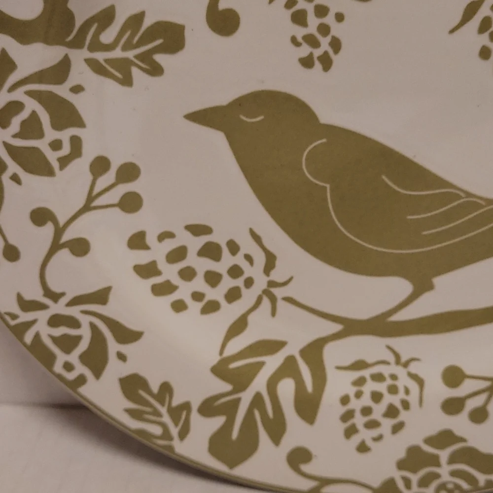 Beautiful Pier 1 Plate